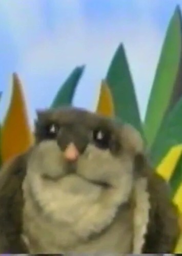 Quincy the Flying Squirrel