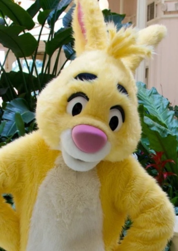 Rabbit