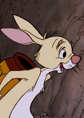 Rabbit