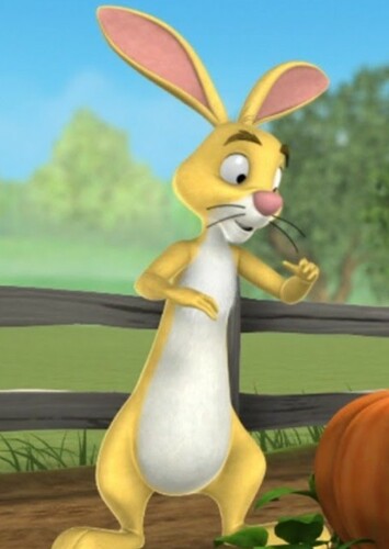 Rabbit
