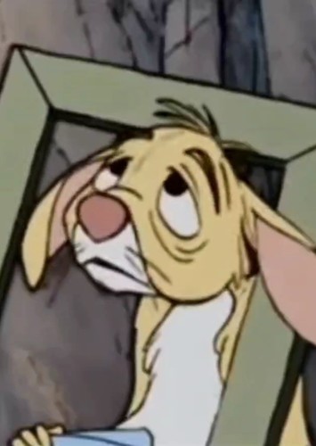 Rabbit