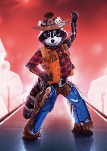 Raccoon