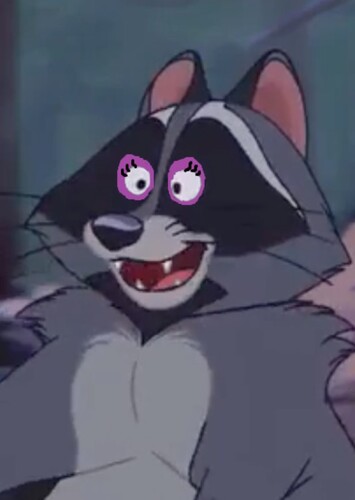 Raccoon