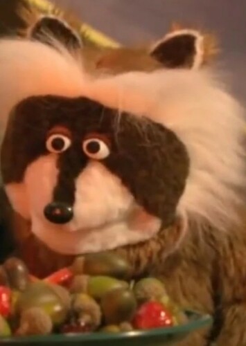 Raccoon