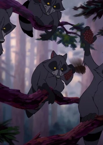 Raccoons (Brother Bear 2)