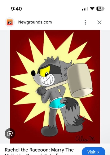 Rachael racoon