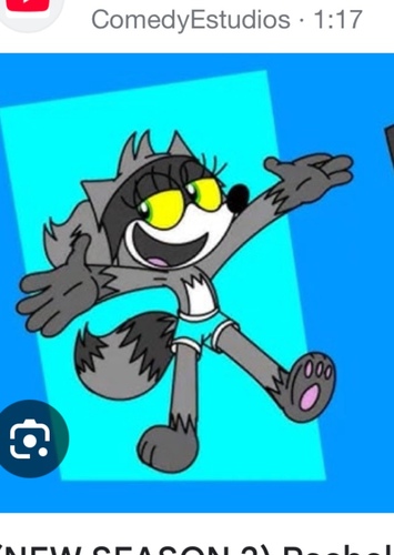 Rachel the raccoon