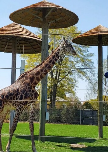 Racine Zoo