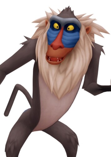 Rafiki
