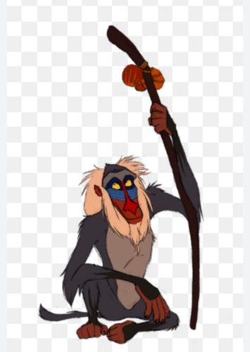 Rafiki