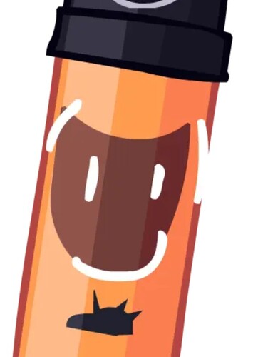 Raid