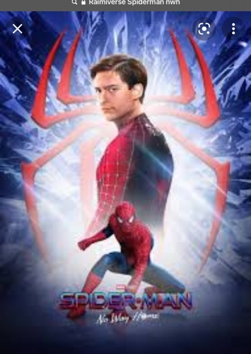 Raimiverse Spiderman