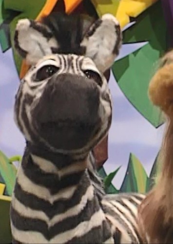 Randall The Zebra
