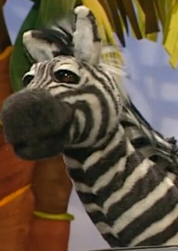 Randall The Zebra