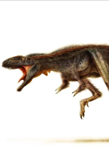 Raptorex