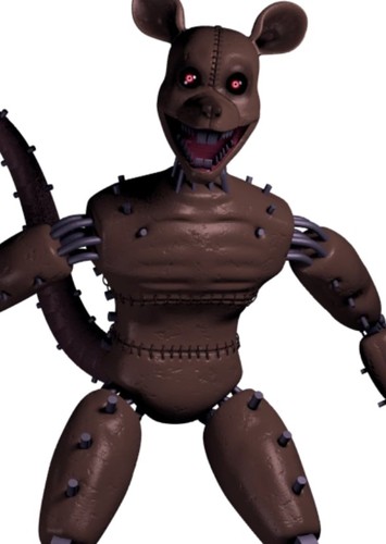 Rat