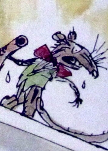 Rat