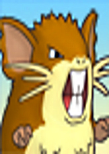 Raticate (English Dub)