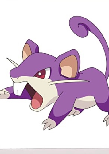 Rattata