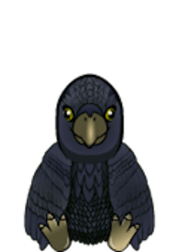 Raven