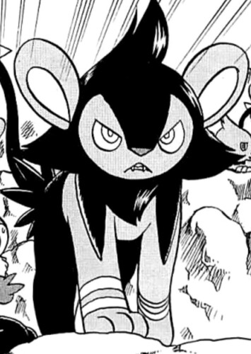 Rayler (Japanese)