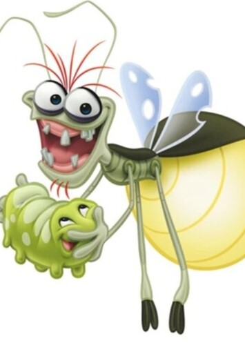 Raymond The Cajun Firefly
