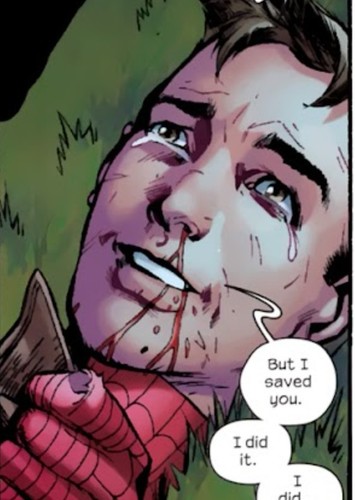 Real 1610 spider-man