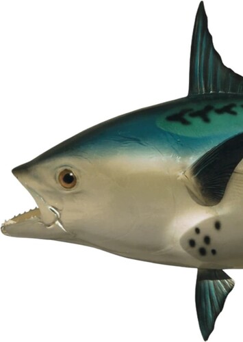 Realistic Fish Head (cameo appearance)