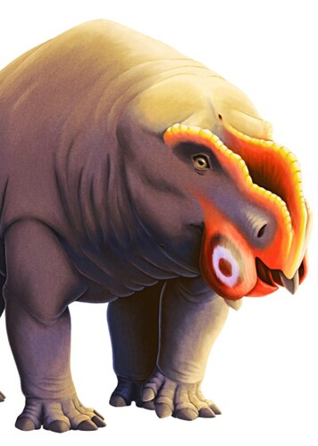 Rechnisaurus