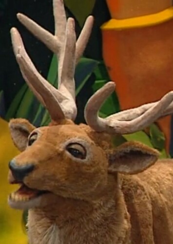Red Deer