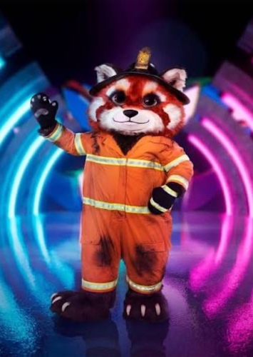 Red Panda