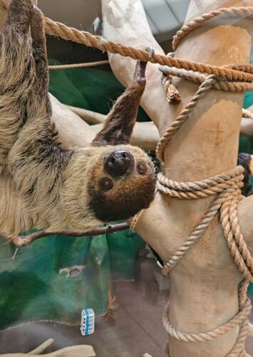 Red River Zoo