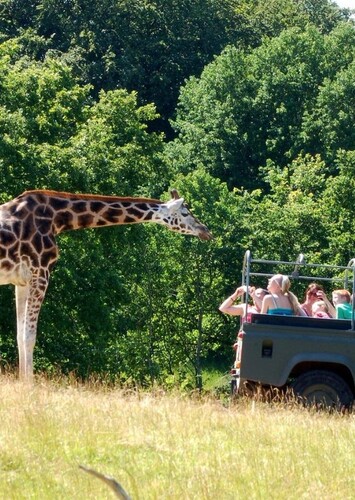 Ree Park Safari