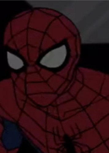 Reflection Spider-Man