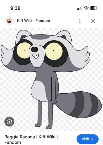 Reggie racoona