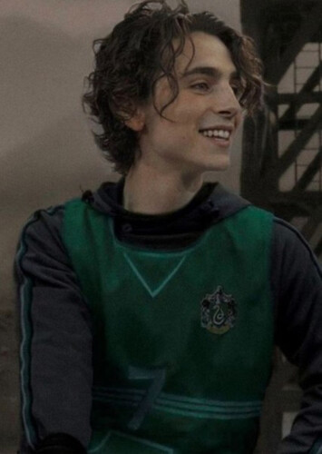 Regulus Black