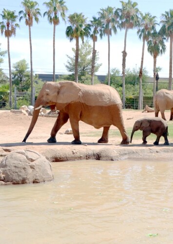 Reid Park Zoo