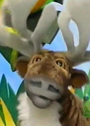 Reindeer