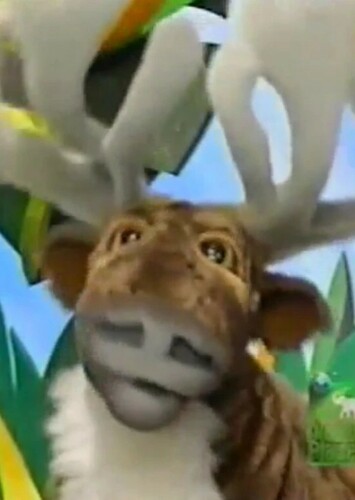 Reindeer