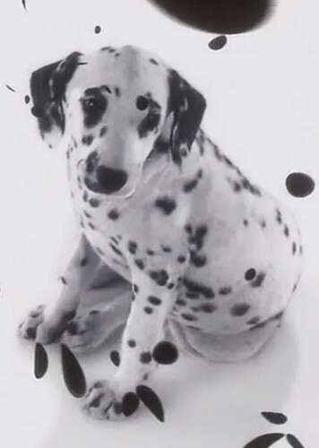 Removable Animal Markings