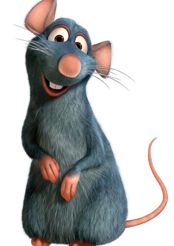 Remy