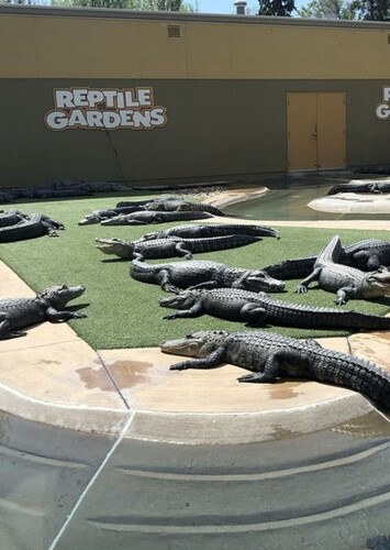 Reptile Gardens