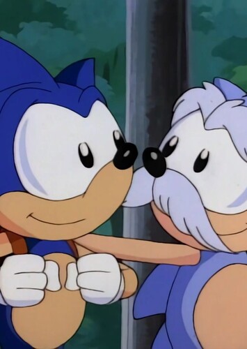 Sonic Bonds with the Freedom Fighters