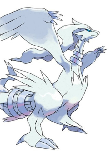 Reshiram (English Dub)