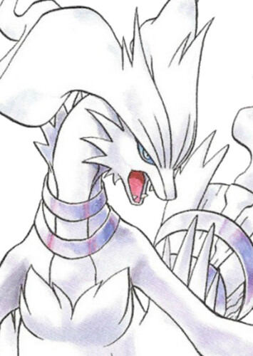 Reshiram (English Dub)