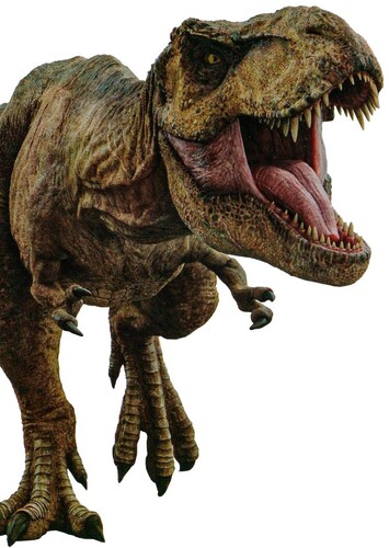 Rex (speaking)