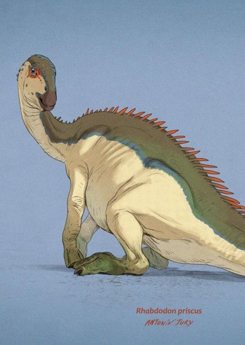 Rhabdodon