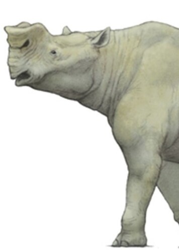 Rhinotitan