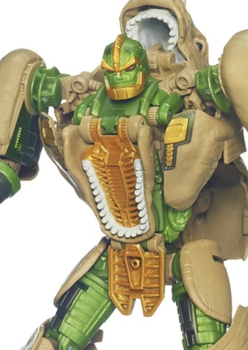 Rhinox