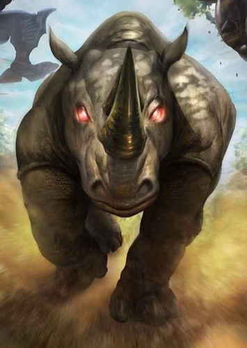 Rhinox